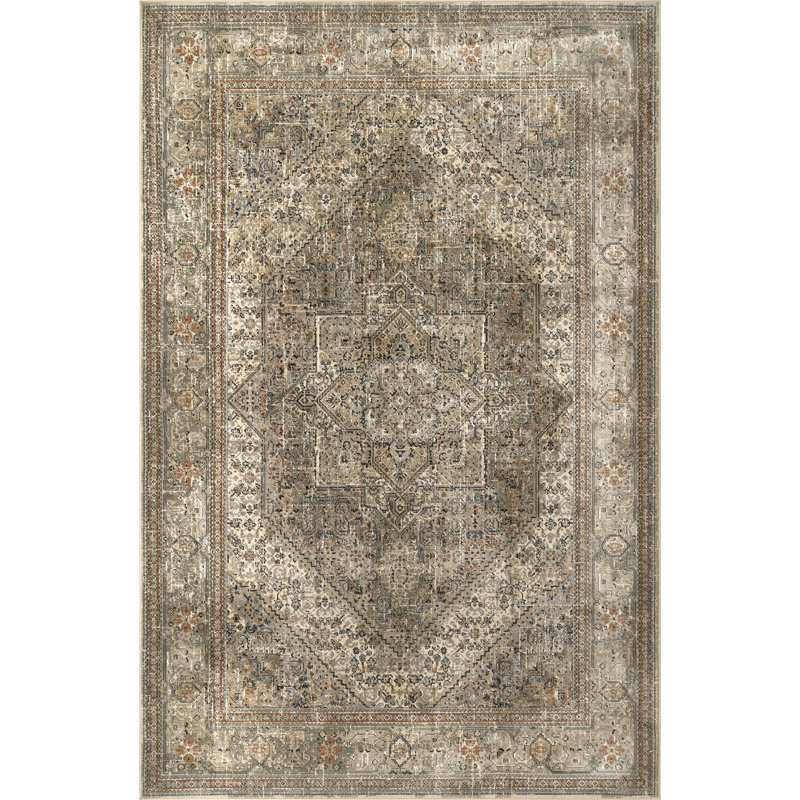 Aledo Traditional Power Loom Performance Distressed Blue/Brown Rug, Rectangle 9' x 12'