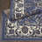 Gallaher Oriental Indoor Rug