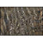 Animals Print by Studio L57 Schemata-390637187