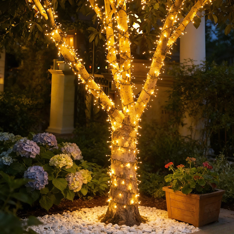 Guirlande d'extérieur 49 pi Cluster Twinkle, 15m