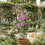 Treillis pour plantes en pot 32 po pour plantes en pot (ensemble de 4) - Support décoratif antirouille pour plantes grimpantes d'intérieur et d'extérieur-987147059