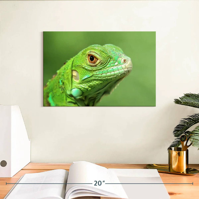 Green Lizard Closeup, 8" H x 12" W