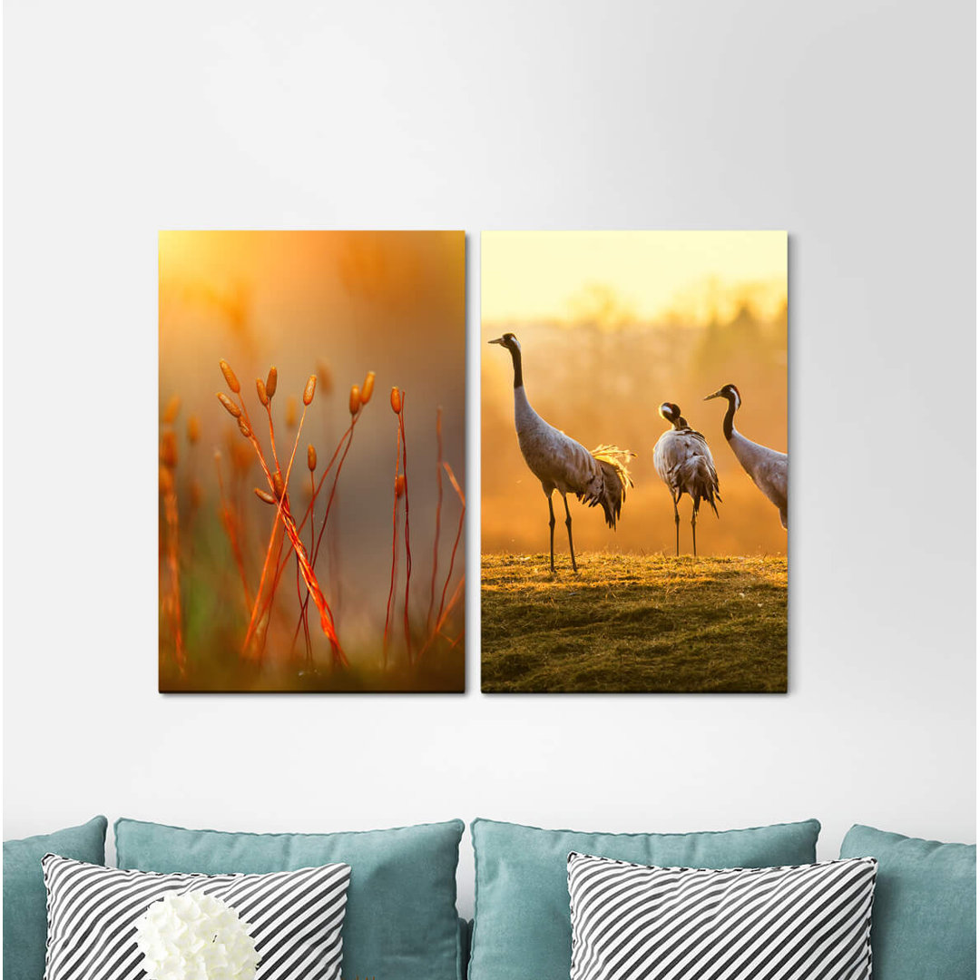 2-tlg. Leinwandbilder-Set - Grafikdruck „Cranes Nature Birds Morning Dew Summer Sunrise Peaceful”