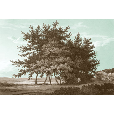 Serene Trees IV - Wrapped Canvas Print