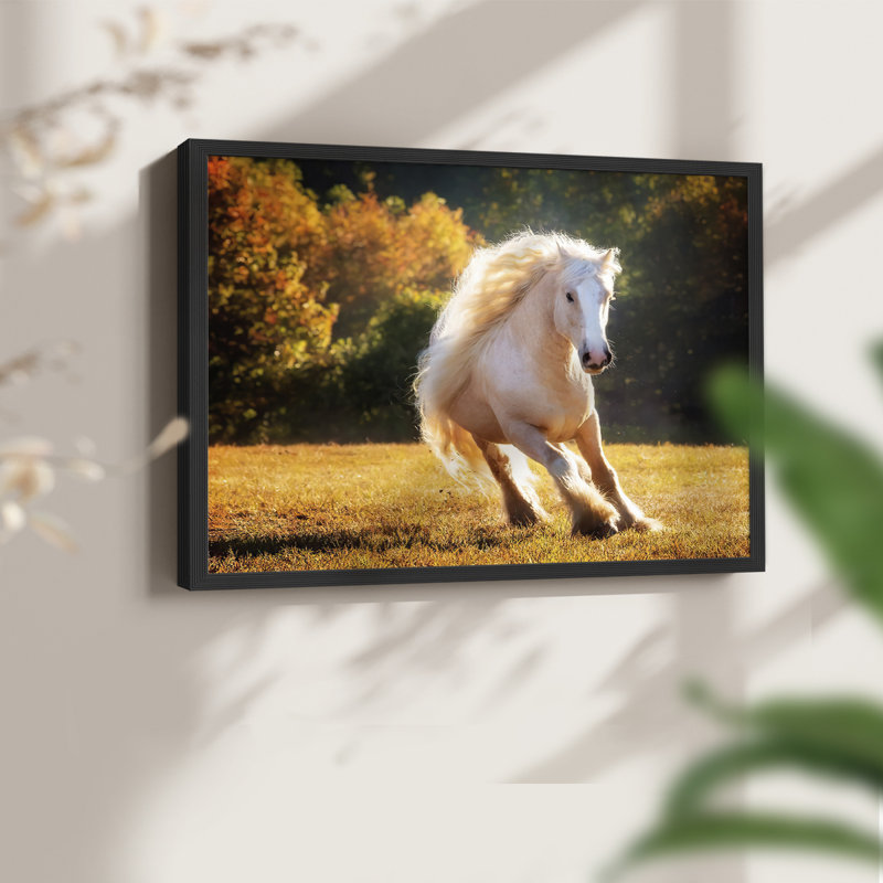 Horse Motion IV -Framed Print - Restickable, H 22 po x l 28 po, Noir, noir, noir, noir
