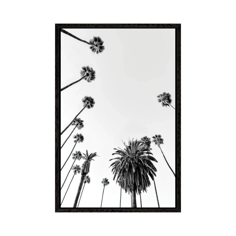 Black California Series - Palm Trees by Philippe Hugonnard - Print on Canvas, 66.04cm H x 45.72cm W x 3.81cm D