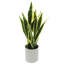 Plante de serpent artificielle Sansevieria en pot-130196675