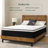 Zinus 13" Medium Euro Top Innerspring Mattress-65321613