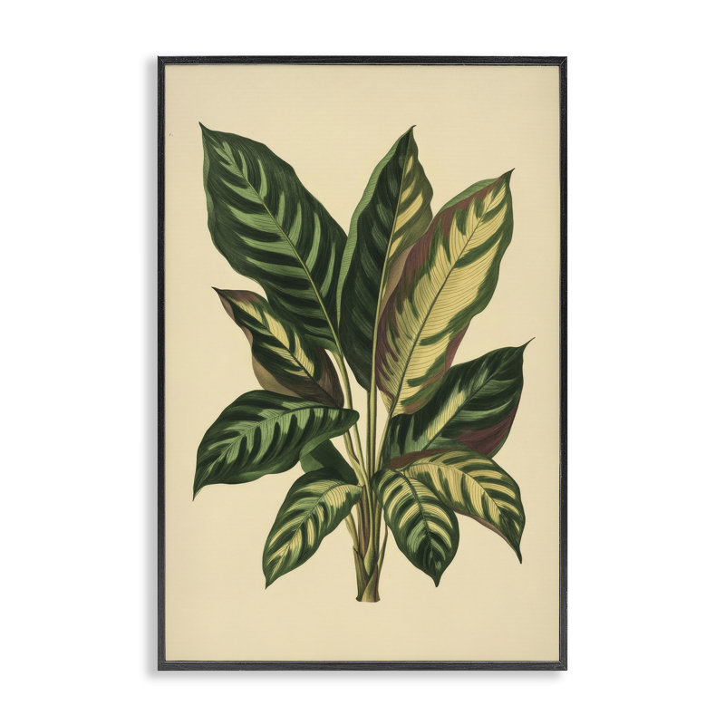 Giclée encadrée de feuilles tropicales à feuilles vertes, design par Petal Prints Design, H 30 po x l 20 po