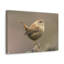 Art mural majestueux Wren-186476424