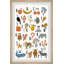 Merrimac Single Picture Frame Print-1389099588