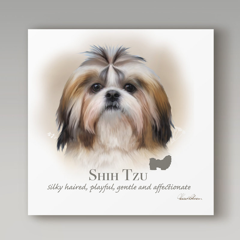 « shih tzu », reproduction d’impression sur toile tendue, H 18 po x l 18 po x P 2 po