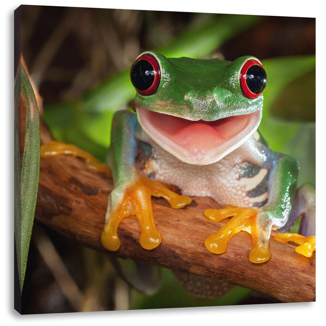 Fotodruck Lachender Frosch mit roten Augen auf Ast