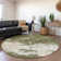 Premium Machine Washable Birchview AMF1027 Modern Rug