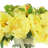 Silk Arrangement-666509460