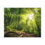 No Frame Print on Canvas