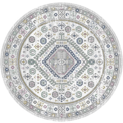 Oriental Indoor Rug