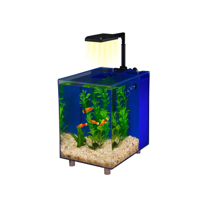 Blue Glass Cube Desktop Aquarium with Filtration System