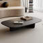 Table basse noire durable