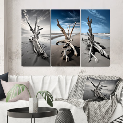 «Beach Driftwood Photo», 3 pièces sur toile