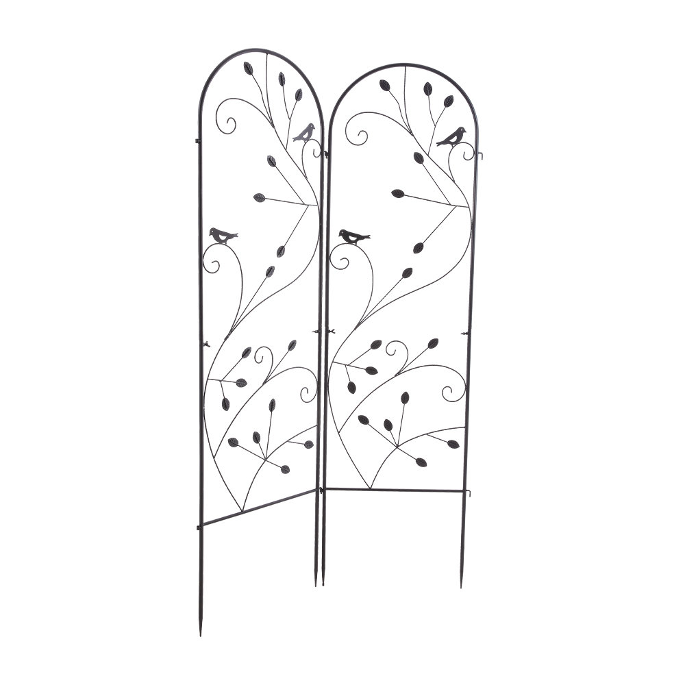 176.5cm H x 50cm W Iron Arched