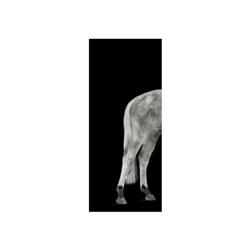 Twilight Cheval I Print by Austin Beiv, Glass Coat