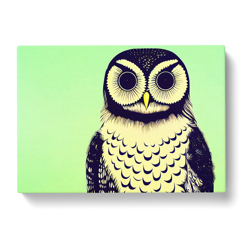 The Astonishing Owl - Wrapped Canvas, 40cm H x 60cm W x 3cm D