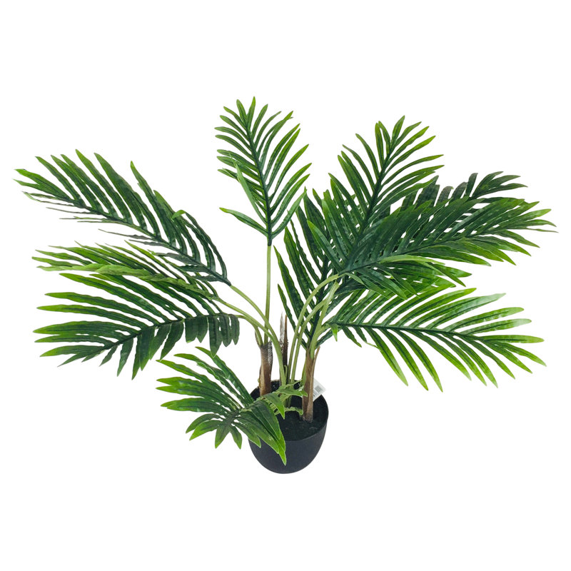 68cm Palm Tree in Pot