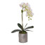 Faux Flower Arrangement Orchid Faux Floral in Pot