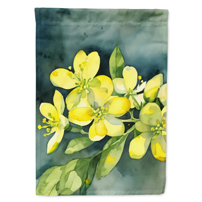Double Sided 40'' H x 28'' W Polyester House Flag