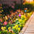 Black Solar Powered Pathway Light-71466773