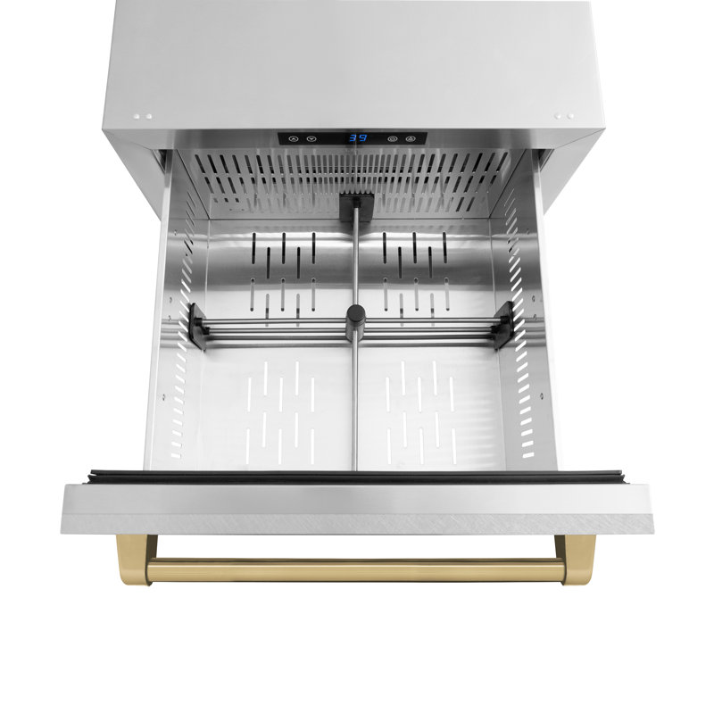ZLINE Autograph Edition 24 in. Touchstone 168 Can Outdoor-Rated Dual Refrigerator Drawer with Doors and Handles