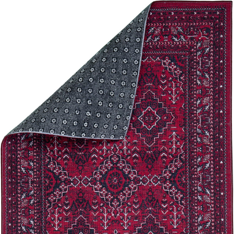 Sroda Washable Oriental Indoor Rug, Runner 2'2'' x 6'