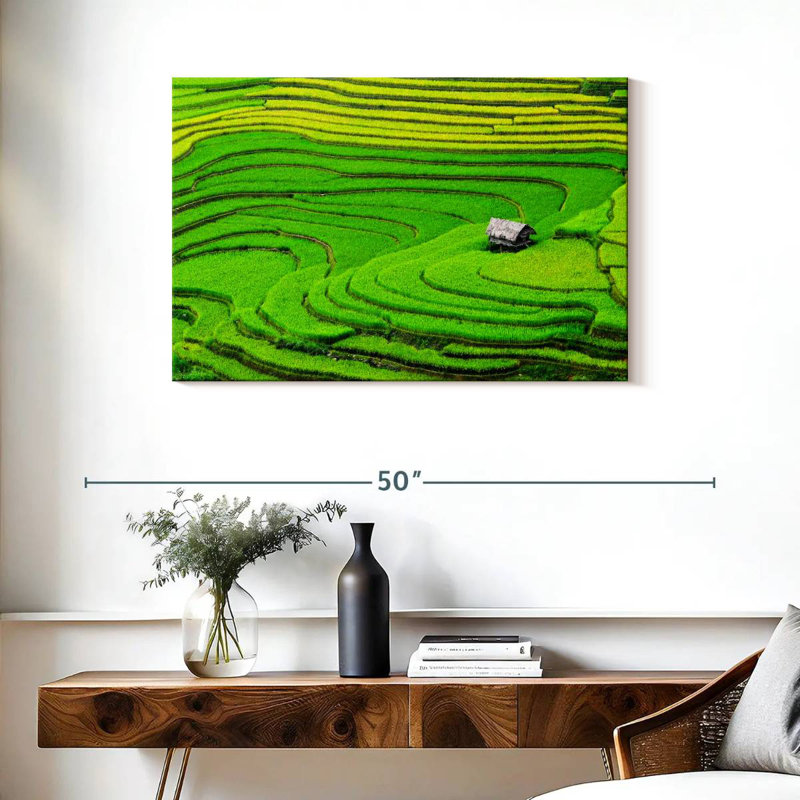 Champ de riz Alvord Ha Giang