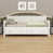 Cream  White