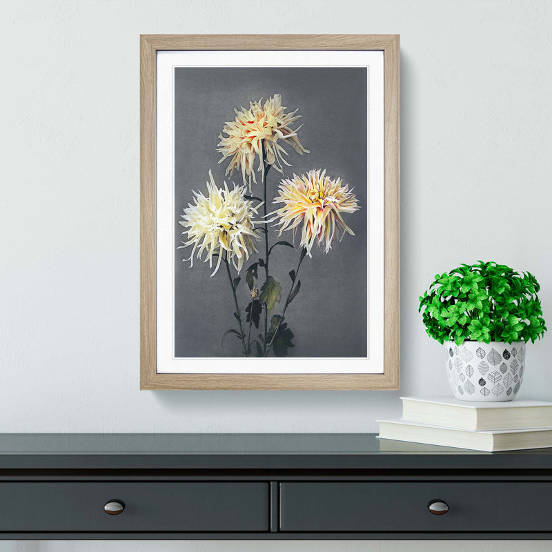 Three Chrysanthemums by Ogawa Kazumasa - Picture Frame Painting Print, Oak Framed, 48cm H x 36cm W x 2cm D
