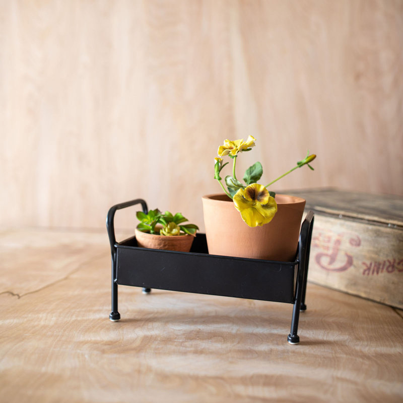 Metal Caddy Plant Stand