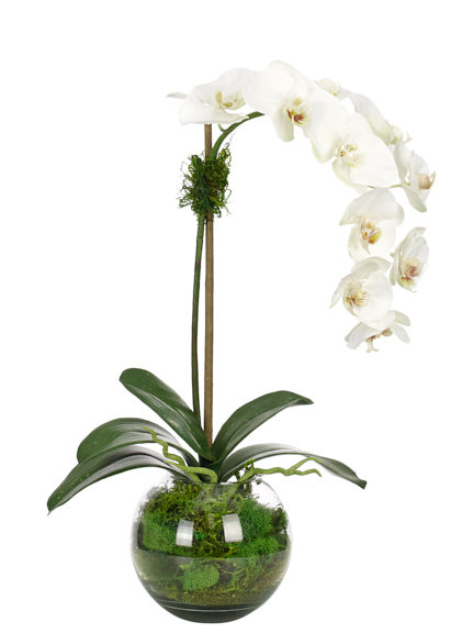 Real-Touch Orchid Phalaenopsis