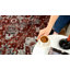 Tapis Rany-1187852836