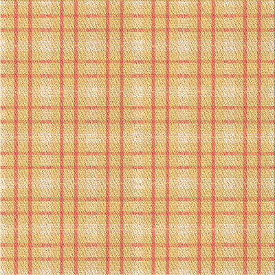 Plaid Indoor Rug