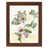 Chestnut Framed