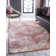Polli Oriental Indoor Rug