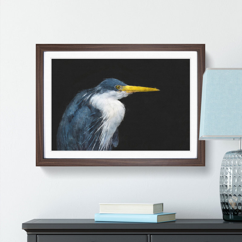 Pied Heron - Picture Frame Graphic Art Print, 45cm H x 63cm W x 2cm D, Walnut