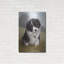 «Border Collie Puppy» par John Silver-1122714866