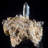 Preez Crystal