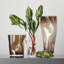 Vase de table en verre Squeeze Bloom-55085192-55085191