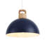 Joylin 11.81" Single Pendant-19883672