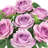 Rose Arrangement-1836775190