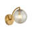 Andrek Glass Globe Wall Sconce