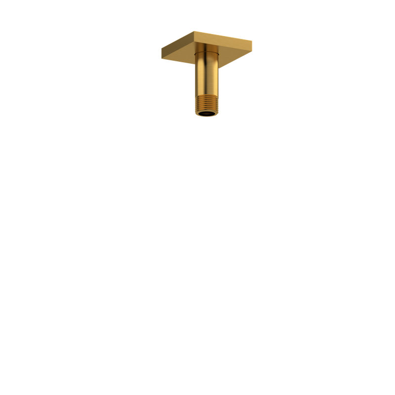 Riobel 3" Ceiling Mount Shower Arm, Brushed Gold